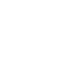 Notion Icon