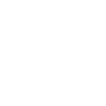 Notion Icon