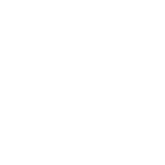 Notion Icon